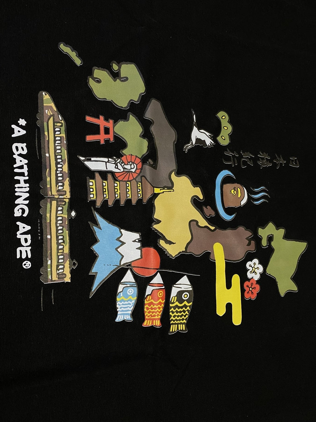 BAPE Japan Map Graphic T-Shirt ¡ª detail