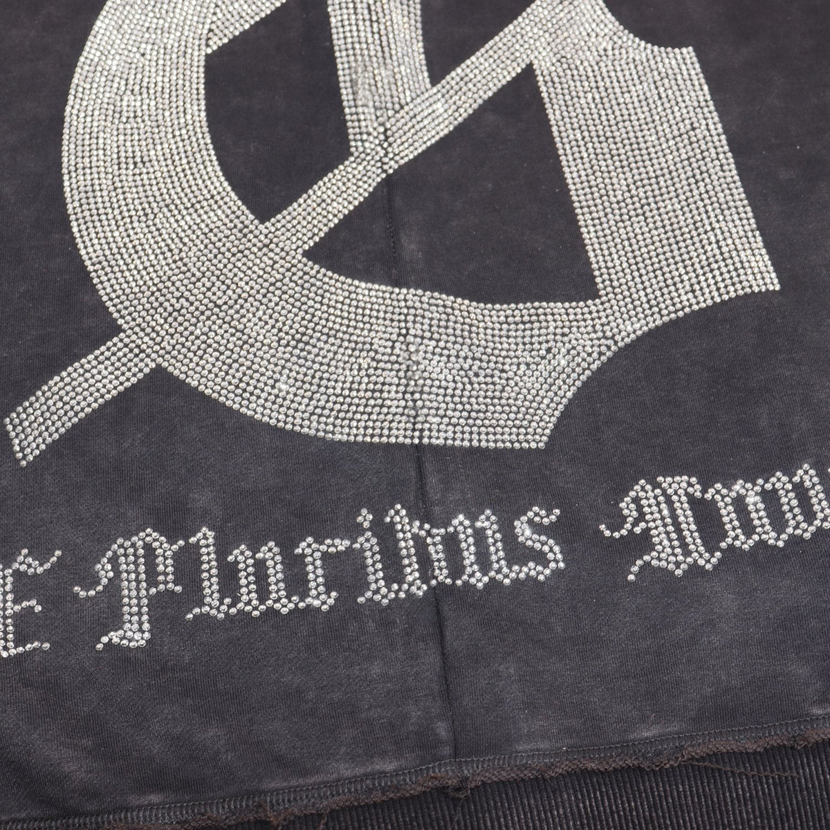 Godspeed E Pluribus Unum Eagle Zip Hoodie ¡ª detail