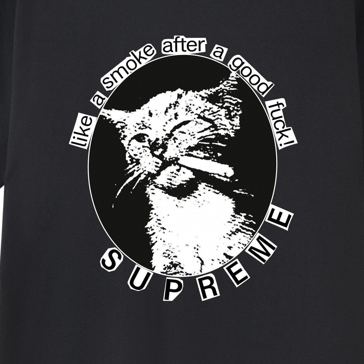 Supreme Cat Smoke Graphic T-Shirt ¡ª detail