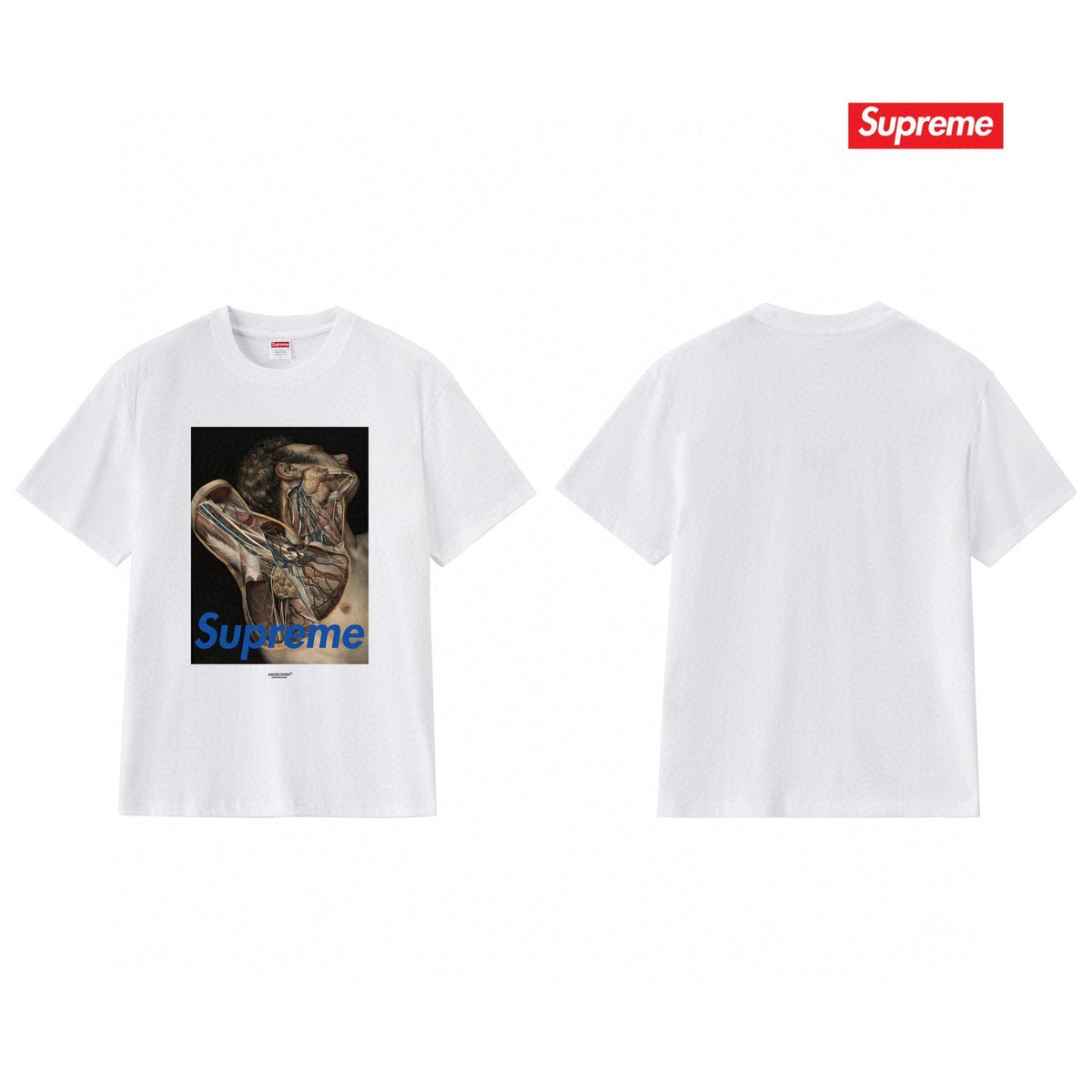 Supreme Anatomical Target Graphic T-Shirt ¡ª back