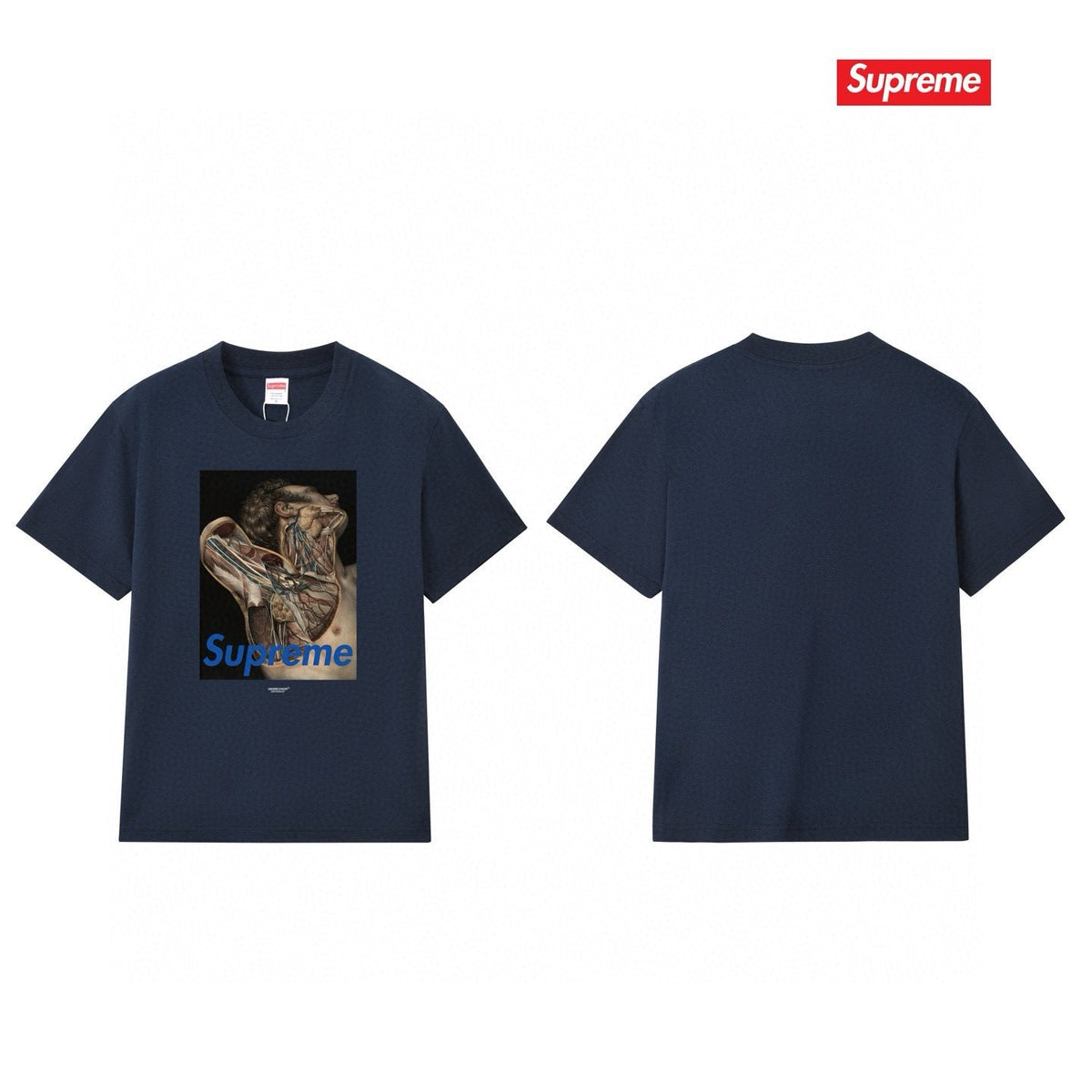 Supreme Anatomical Target Graphic T-Shirt ¡ª back