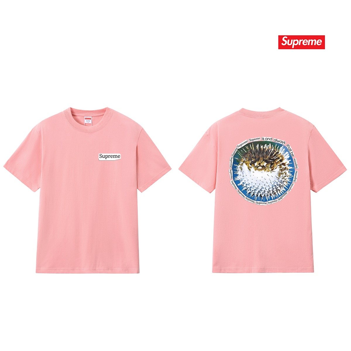 Supreme Pufferfish Back Graphic T-Shirt ¡ª comparison