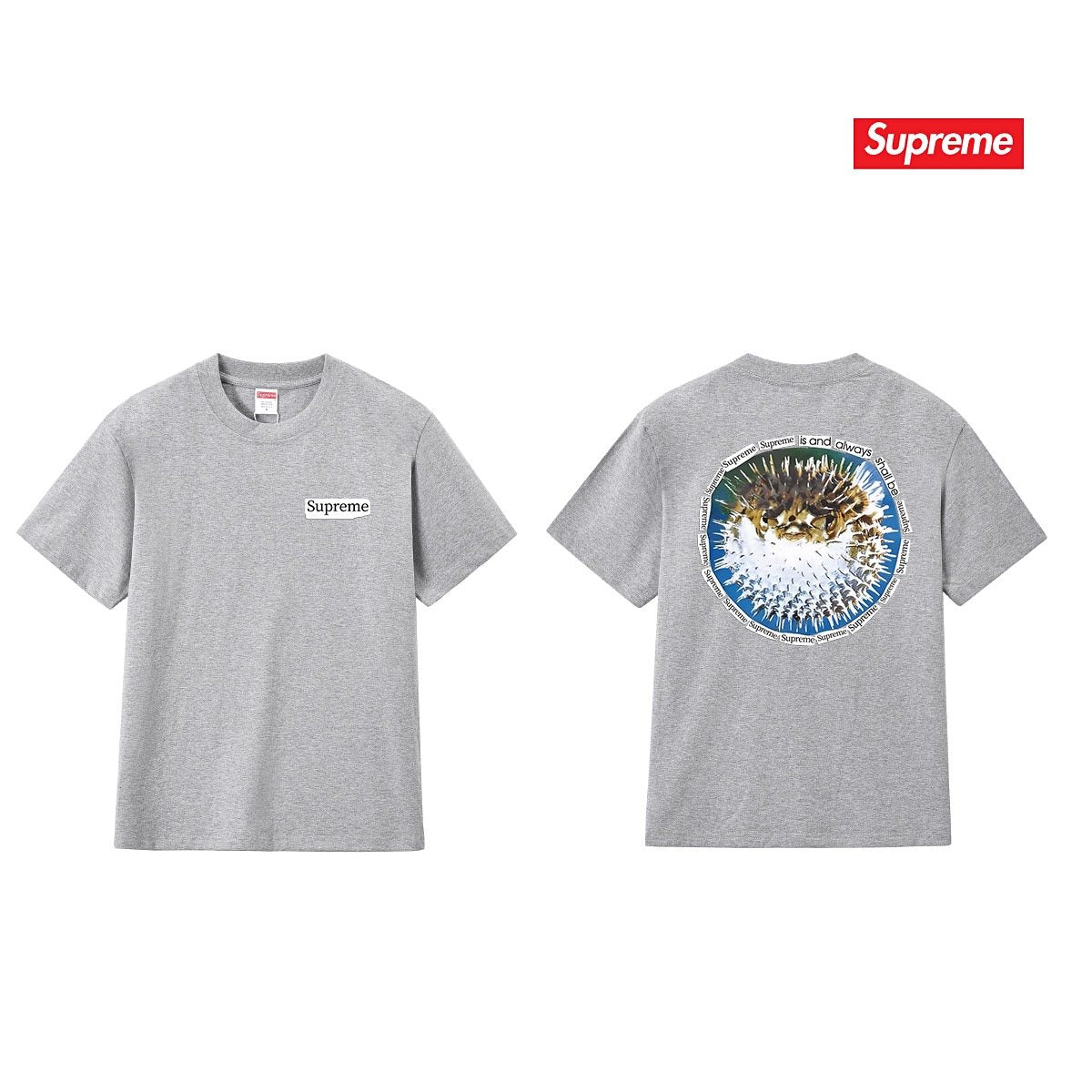 Supreme Pufferfish Back Graphic T-Shirt ¡ª comparison