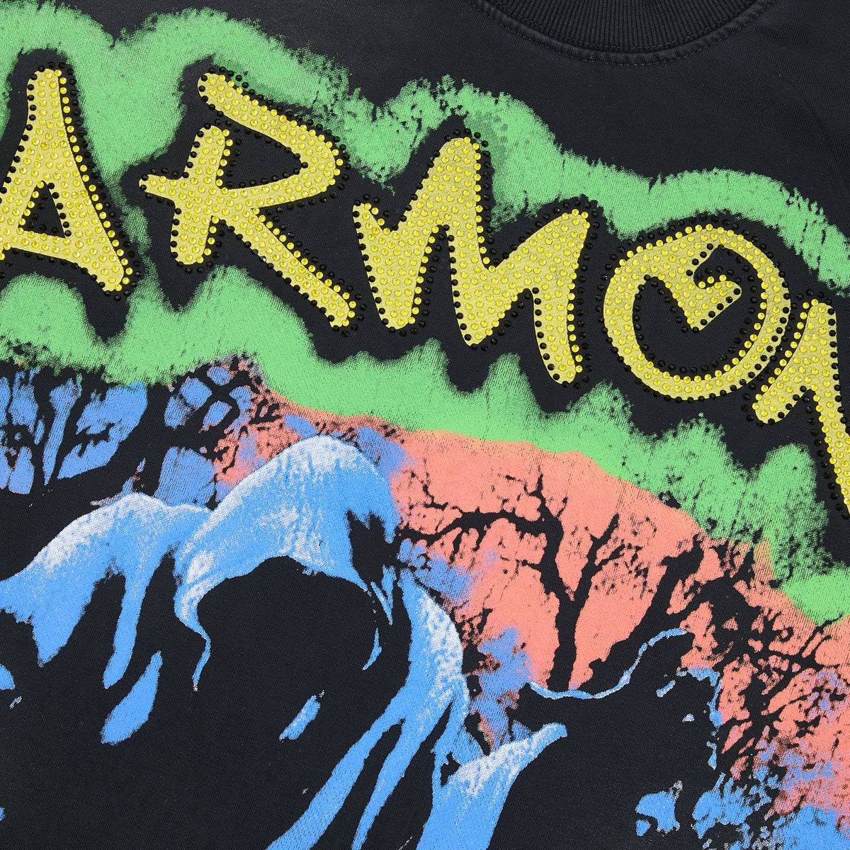 HARMONY Raw-Edge Graphic T-Shirt ¡ª detail