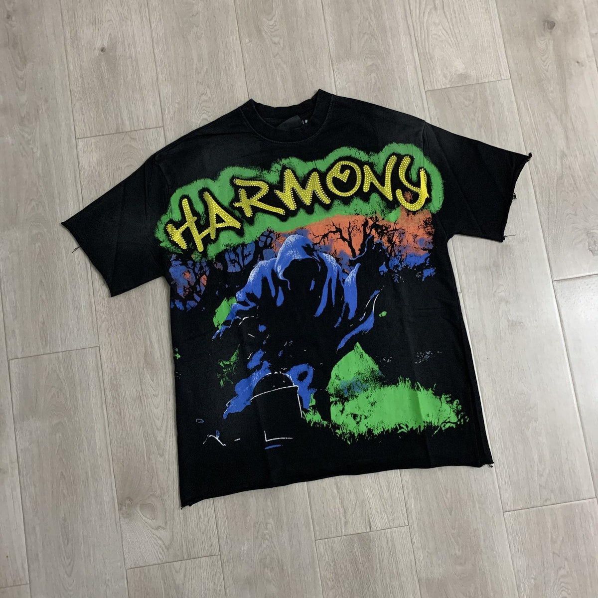 HARMONY Raw-Edge Graphic T-Shirt ¡ª front