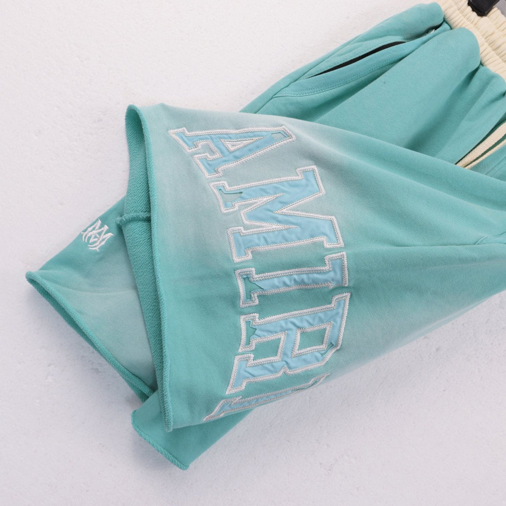AMIRI Vintage Collegiate Graphic Shorts ¡ª detail
