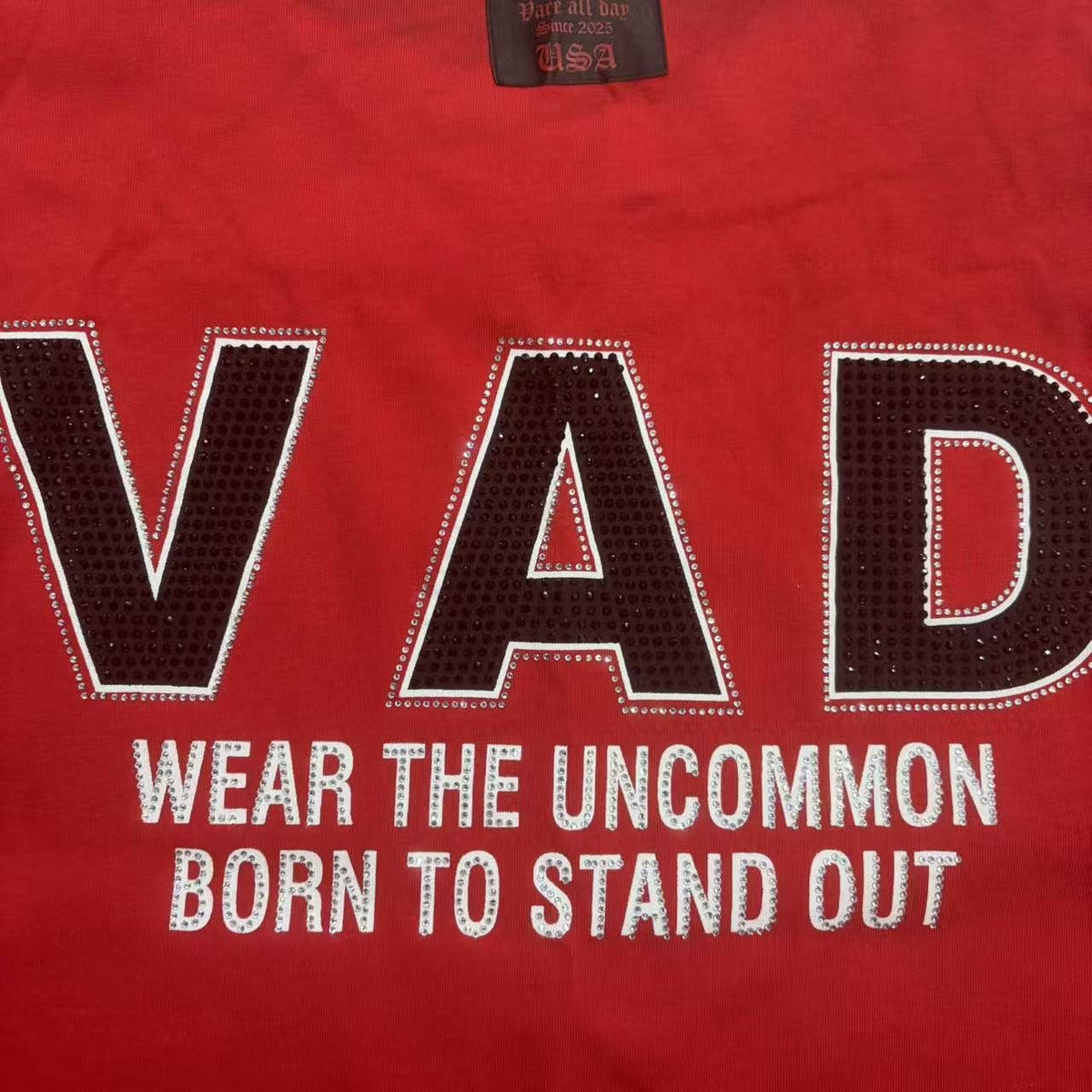 VARE ALL DAY Red Color Block Graphic T-Shirt ¡ª detail