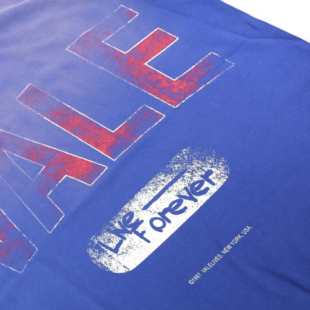 Valley Dreams Live Forever Distressed Graphic T-Shirt ¡ª detail