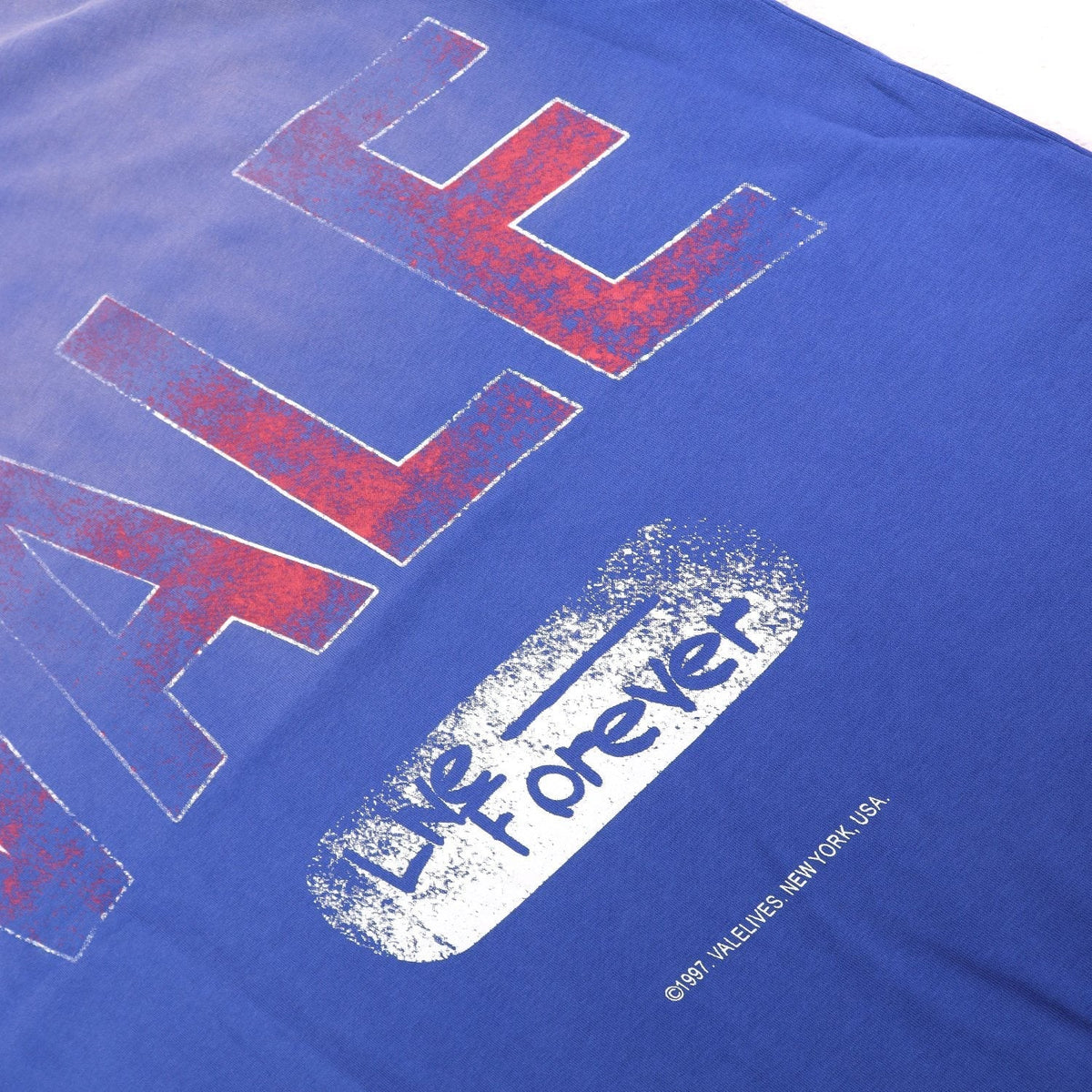 Valley Dreams Live Forever Distressed Graphic T-Shirt ¡ª detail