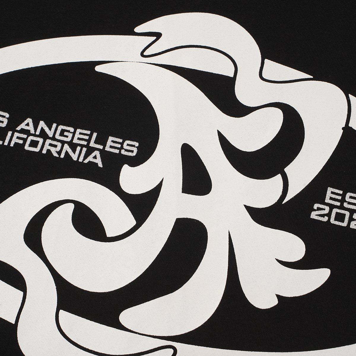 ASAALL Los Angeles California Abstract Graphic T-Shirt ¡ª detail