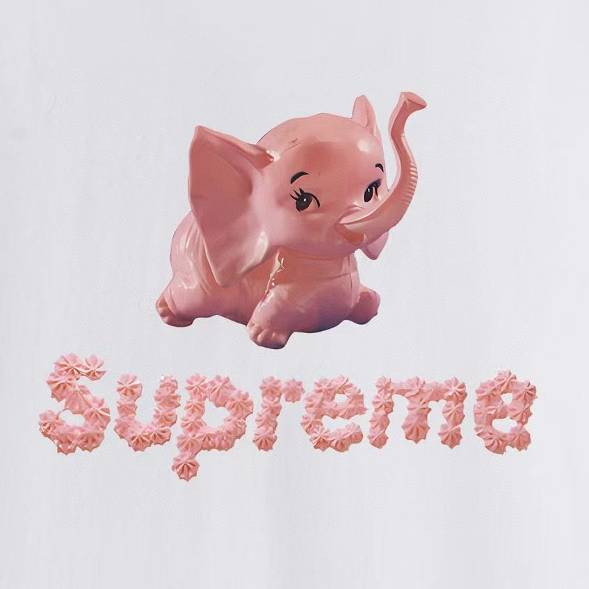 Supreme Elephant Graphic T-Shirt ¡ª detail