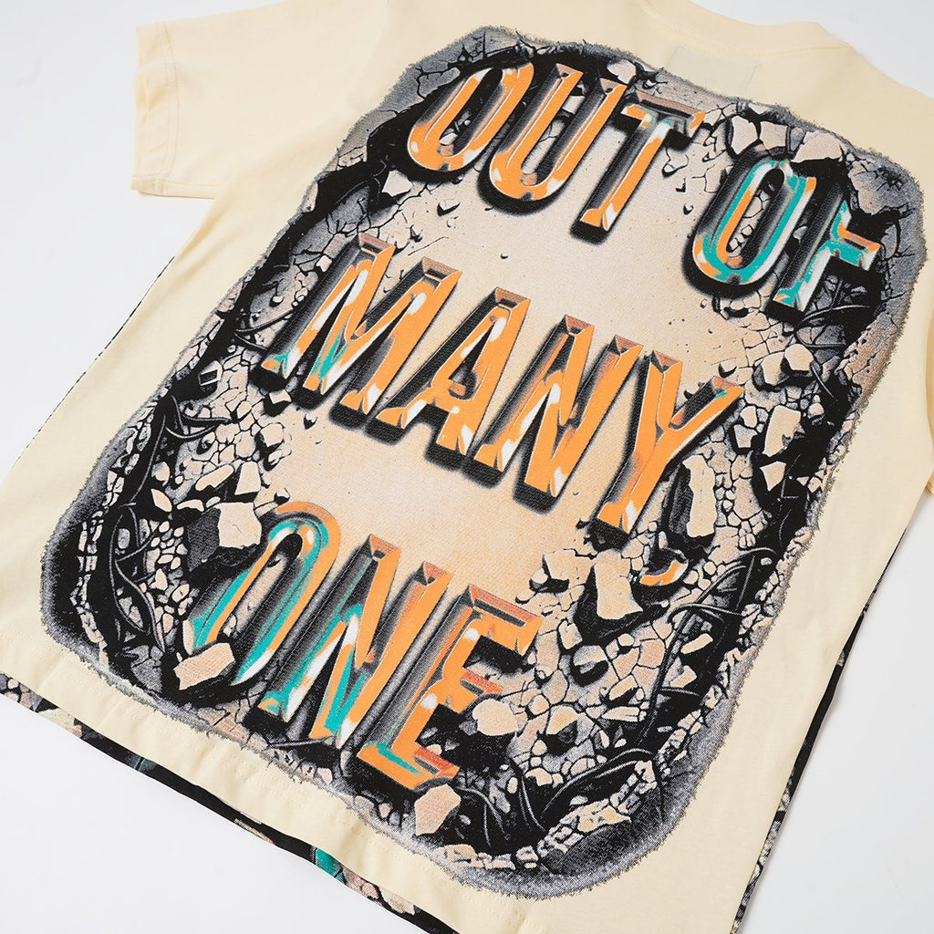 Godspeed Out of Many One Liberty Skull Graphic T-Shirt ¡ª detail
