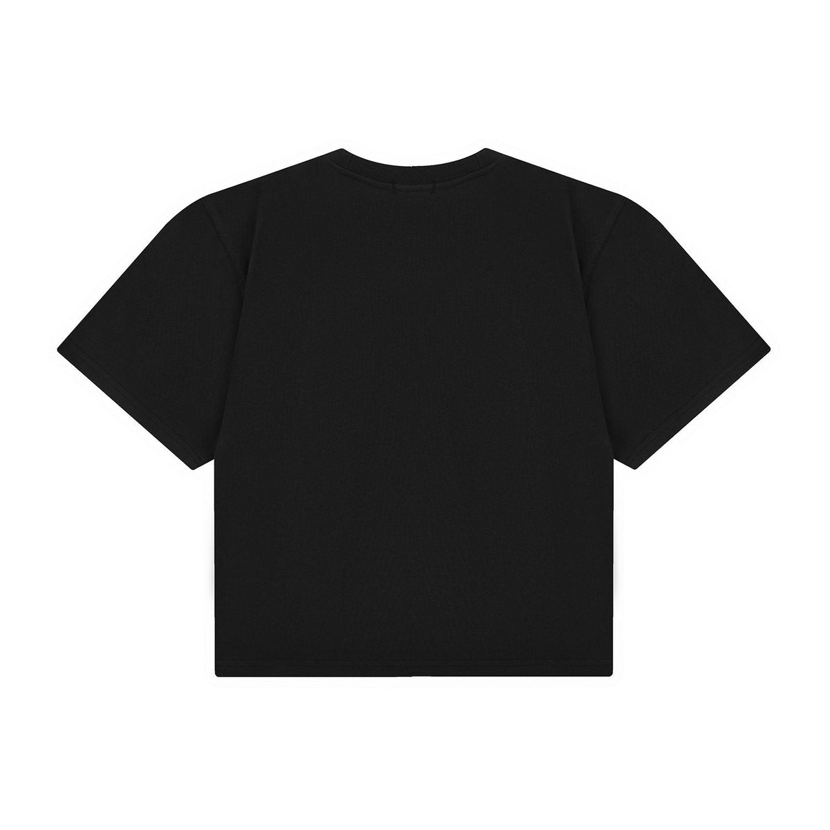 Test2-Ralph Lauren Women's Oversized Drop-Shoulder Pony Embroidered T-Shirt ¡ª back